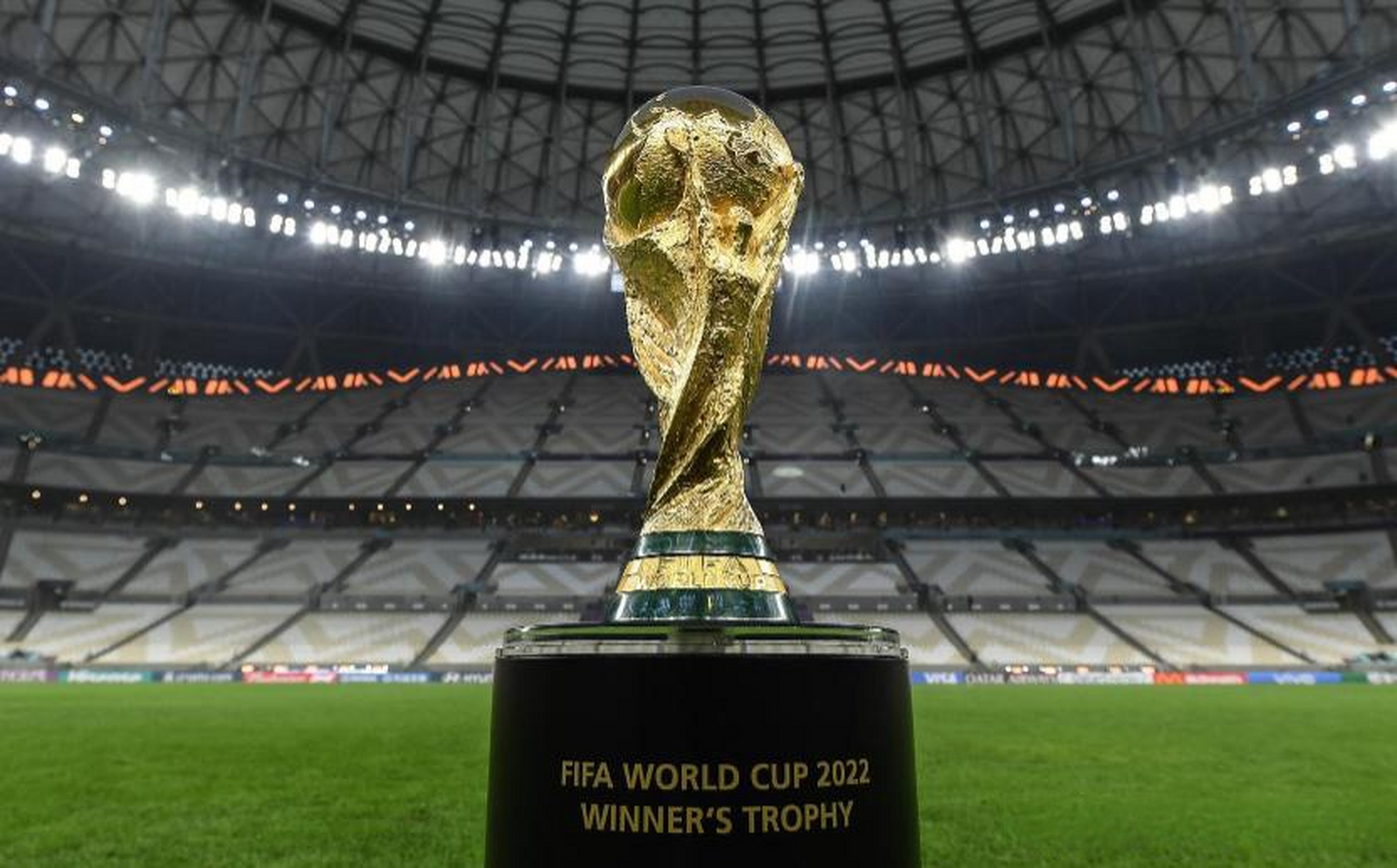 楚地证实了 楚地证实了